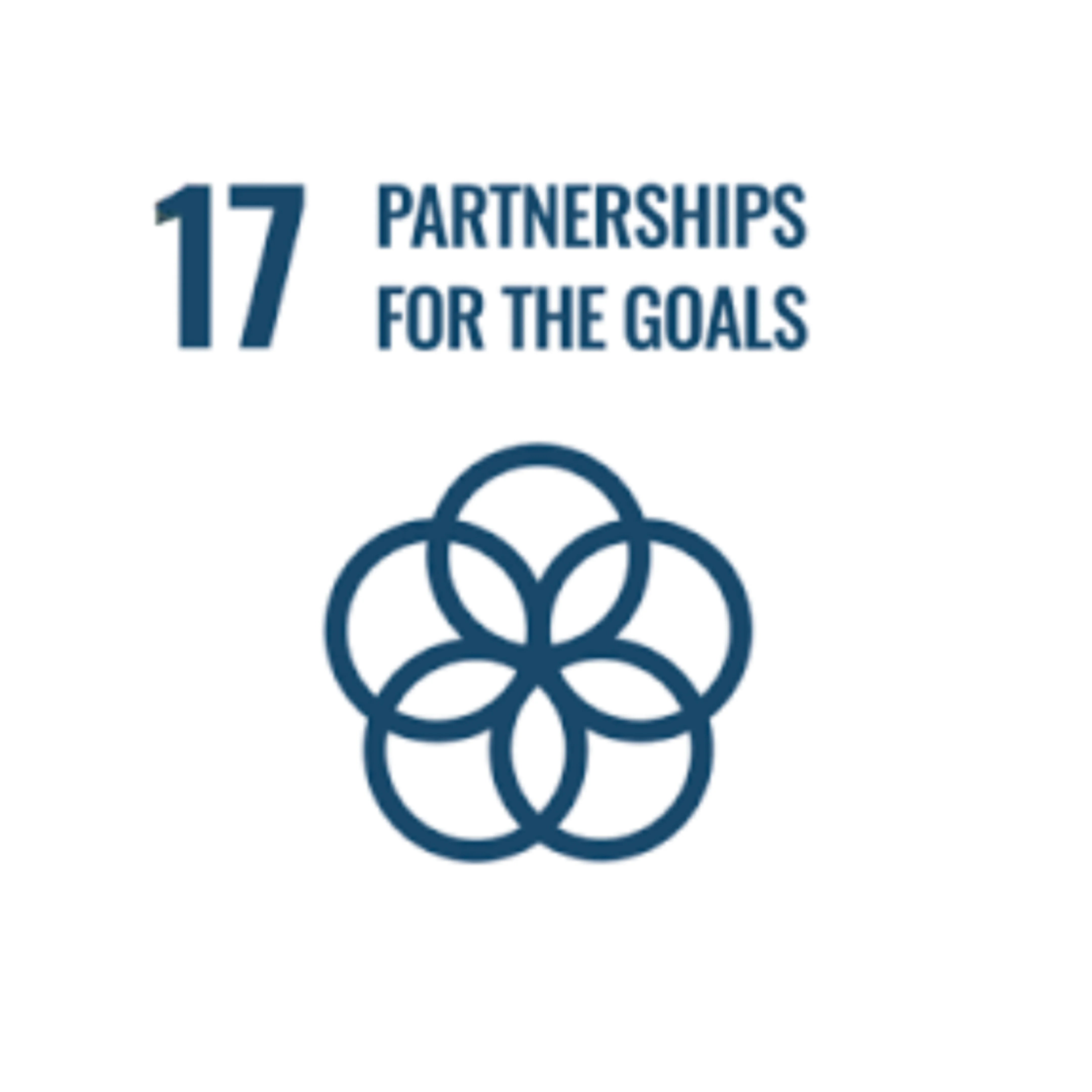 17 Partnerships for the Goals
